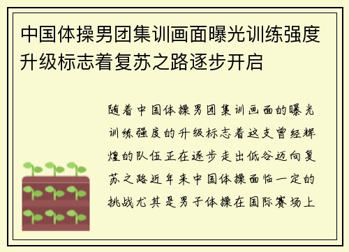 中国体操男团集训画面曝光训练强度升级标志着复苏之路逐步开启