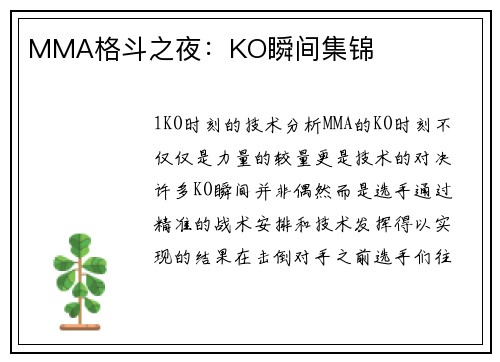 MMA格斗之夜：KO瞬间集锦